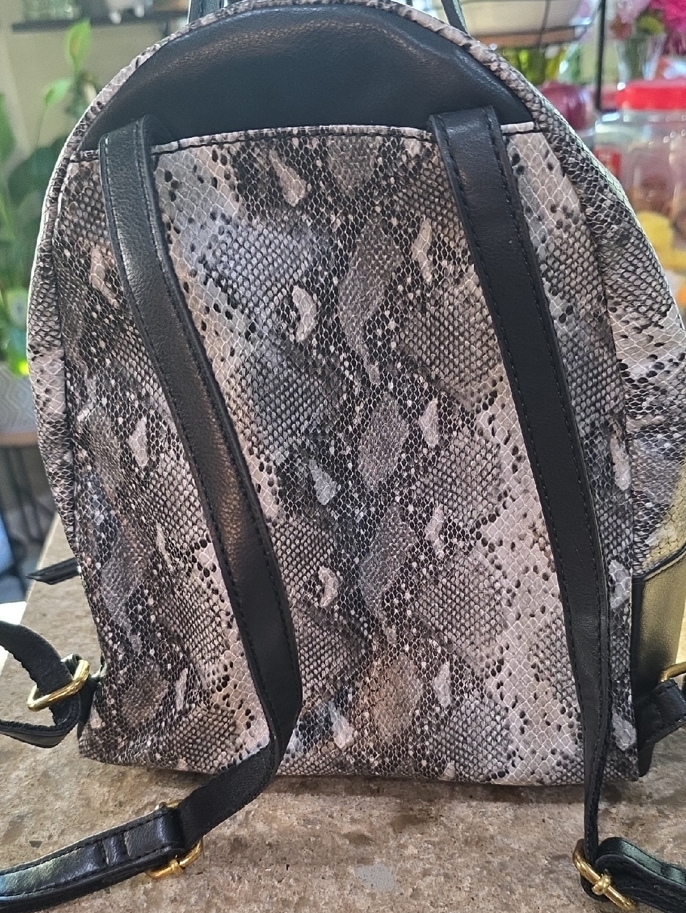 Fossil Cream Leather Backpack with Snake-Print Accent - Picture 10 of 10
